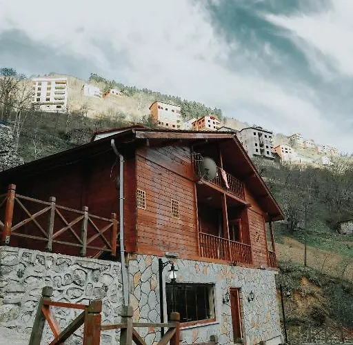 Отель Bahri Uzungoel *